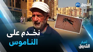 بعد الإنتشار الكبير للبعوض في مدينة سيدي عبد الله راني نخدم على الناموس 