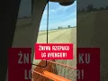 Download Lagu Kosimy rzepak LG Avenger! Jakie plony? #lgseeds #limagrainpolska #limagrain