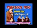 Lagu Pernados Trio - Boruni Raja Cipt.Sudiarto Tampubolon SH