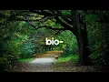 English Prefixes bio-