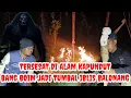 Lagu MAAFKAN KAMI TIDAK BISA MENYELAMATKAN BANG BOIM @IMAMRIYADI657 