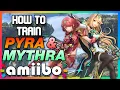 How to Train the Pyra and Mythra amiibo