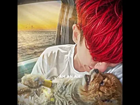 🕊️🤍🐶😭