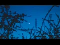 Download Lagu The Neighbourhood - Leaving Tonight Lyrics (slowed down)