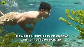                     دندنها