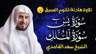 قران كريم بصوت جميل جدا قبل النوم سعد الغامدي راحة نفسية لا توصف Quran Recitation 