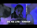 Download Lagu Dil Na Liya - Krrish (Perfect Slowed) | Reverb (Bonus)
