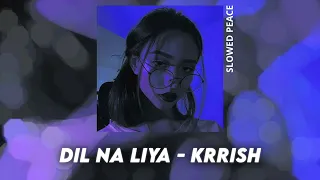 dil na liya krrish perfect slowed reverb bonus 