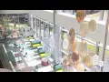 CHKD celebrates new multi-million inpatient care facility in Norfolk