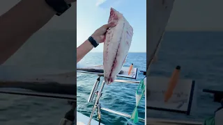 Come fishing with us!! #bahamas #fishing #shark #sailing #diving