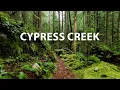 Lush Forest Virtual Hike through Cypress Creek trails in West Vancouver BC Canada 4K