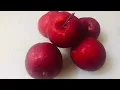 Plum Milkshake 🍒| Healthy Smoothie  Recipe | Simple and Tasty Plum Shake