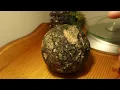 How to tell if your geode is hollow