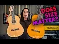 Size Guitar Why Vangoa Classical Acoustic Electric - Demo Review