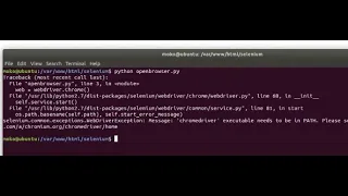 How to fix Selenium Error Python - Message chromedriver executable needs to be in PATH