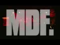 Alvaro Diaz - MDF. (Visualizer)
