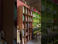 Download Lagu Found A Little Cute shop in Seminyak #ShortsNadiyaRWL