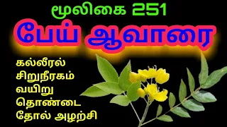 Download பேய் ஆவாரை|பேயாவரை|நத்தம் தகரை|பொன்னாவரை|senna occidentalis|Alasal MP3