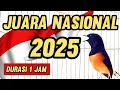 Download Lagu Masteran MURAI BATU JUARA NASIONAL 2025 Full Materi #juaranasional