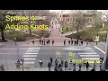 Splines 4 - Adding knots