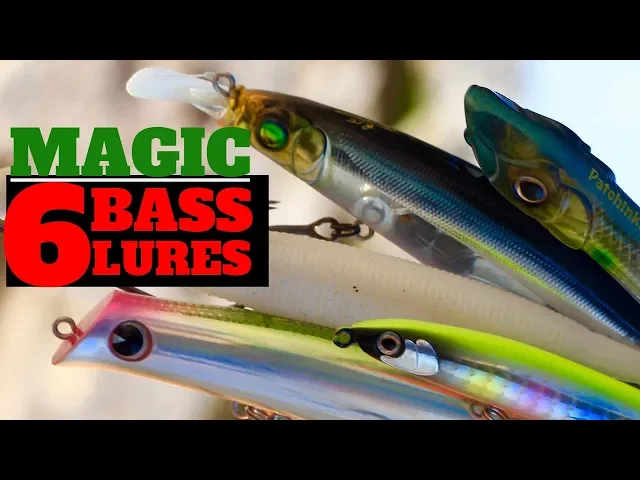 Download MP3 6 Must Have Bass lures for Sea Fishing