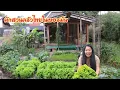 Download Lagu ผักสวนครัวไทยในเยอรมัน Thai Gemüse in Deutschland 🇩🇪