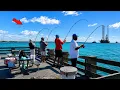 Everyone Comes to This Famous Florida Pier for This