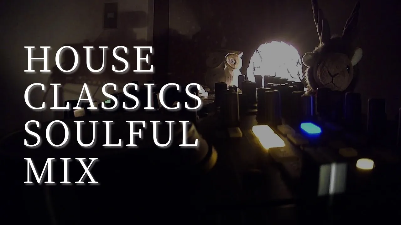 【DJ MIX】HouseMusic | HouseClassics | SoulfulHouse Mix 90min🎧 DJ Camel Mint Live Mix🐫🦌