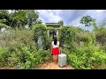 Download Lagu Shocking Female CEO Returns to her Hometown to buy and Renovate an old Abandoned House