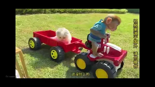 🐒🐱🐶🦆 When Monkey, Cat, Dog & Duck Become Best Friends! 😂❤️ part 2