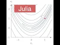 Basic Optimization Usage Julia