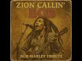 Download Lagu Roots Reggae (1975) [Unreleased Album] Bob Marley Tribute - Zion Callin' Bob