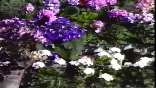 Yunos یونس بینمت ھر جا روم 