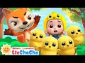 Download Lagu Anak Ayam di Peternakan 🐥🌾 | Lagu Hewan Lucu | Lagu Ayam | Lagu Anak | LiaChaCha Bahasa Indonesia