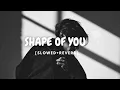 Download Lagu SHAPE OF YOU|| (SLOWED+REVERB)  || ED SHEERAN || Lofi song ||