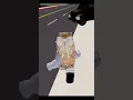 https://vt.tiktok.com/ZSS1sh8n8/