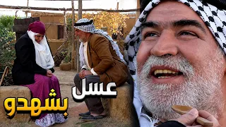 أجمل مشاهد زمن البرغوث   الباباتي ناوي يتجوز هالختيار بدو يورثها ههه في خطة براسو