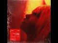 Fallen Leaf (feat. Be No Rain) - Vintage Culture & Fideles