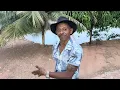 Lagu CHARLLES FLAGRA TÕE PEGANDO PEIXE PARA TIRA GOSTO DE CACHAÇA BATIZADA 😂 | CHÁCARA COMÉDIA SELVAGEM