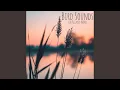 Download Lagu Suara Burung