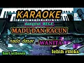 Download Lagu KARAOKE - MADU  DAN RACUN -dangdut REGE / ORGAN TUNGGAL  Andiz  @brothers musik official