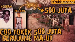 Download DIHABISIN DAN KEPALANYA DI JADIKAN JIMAT SETELAH COD TOKEK SEHARGA 500 jt #Yukkitabahas MP3