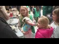 Rally to the Rescue draws families to adopt pets at McKinley Mall