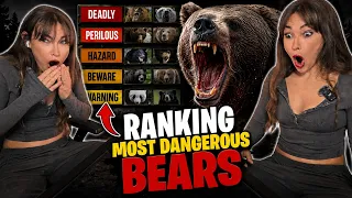 new zealand girl reacts to the most dangerous bears ranked i was shocked