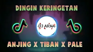 Download Dj Dingin Keringetan Slowmo Tiktok anjim x tiban x pale MP3