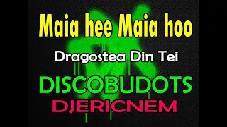 Download Dragostea Din Tei Remix | DiscoBudots | Dj Ericnem MP3