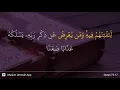 Download Lagu Al-Jinn ayat 17