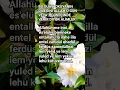 Download Lagu ŞEHİD TÜRKÜSÜ☺️ACİL DİLEĞİ İHTİYACI İSTEĞİ SIKINTISI ÜZÜNTÜSÜ OLANLAR 🤍 #islamicvideo