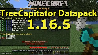 TreeCapitator Datapack 1 16 5 for Minecraft Spotlight - Download Installation and Gameplay