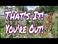 Download Lagu Your Time Is Up! | New Plant Framework | Allotment Gardening UK